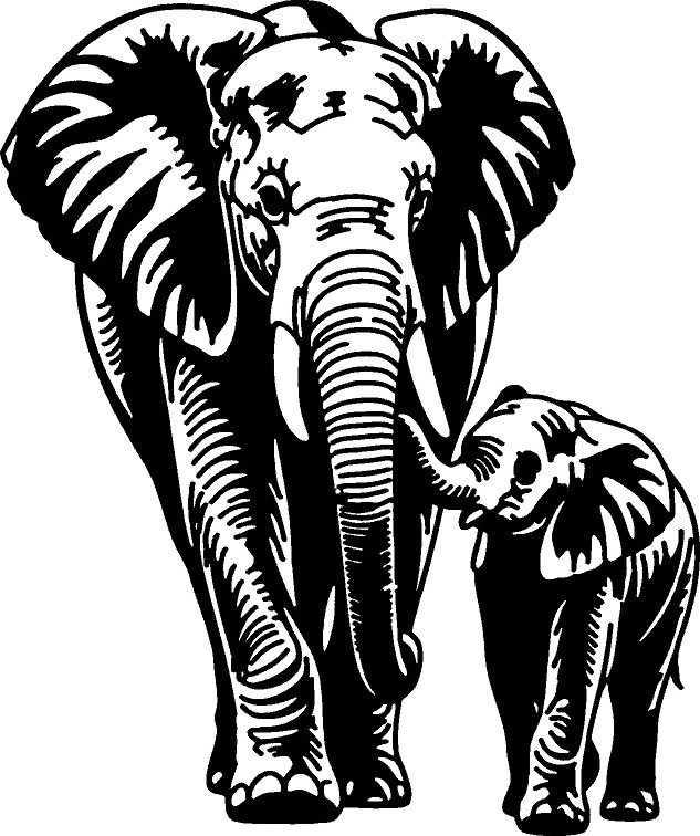 Elephant and calf wall art
