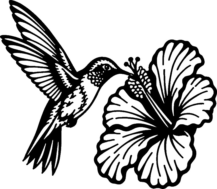 Hummingbird and hibiscus wall art